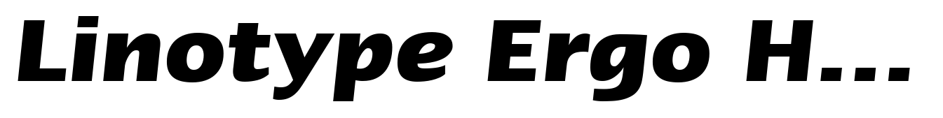Linotype Ergo Hebrew Bold Italic
